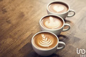 Fast food at MONTPELLIER (34000)