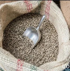 Salon de thé à RIVEDOUX-PLAGE (17940)