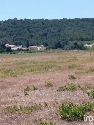 Land in ROQUEFORT-DES-CORBIÈRES (11540)