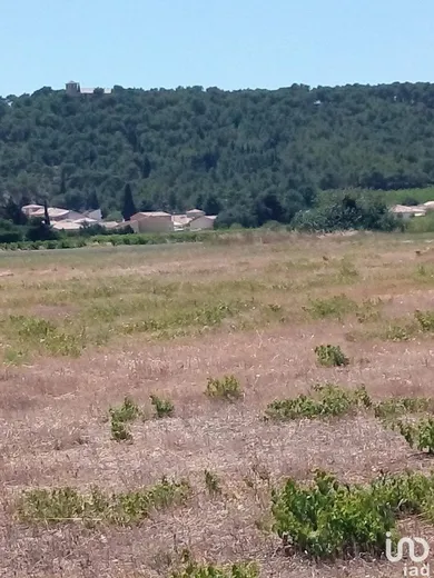 Terrain à ROQUEFORT-DES-CORBIÈRES (11540)