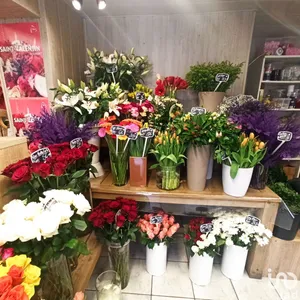 Boutique/Local commercial à SAINT-ÉTIENNE-DU-ROUVRAY (76800)