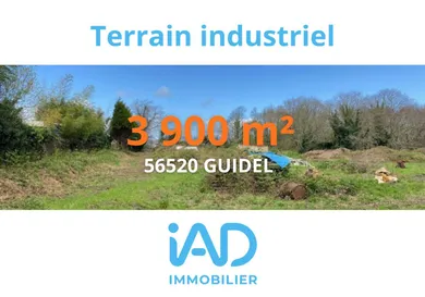 Commercial walls at GUIDEL (56520)