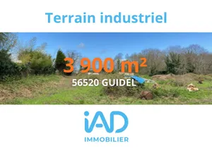 Commercial walls at GUIDEL (56520)