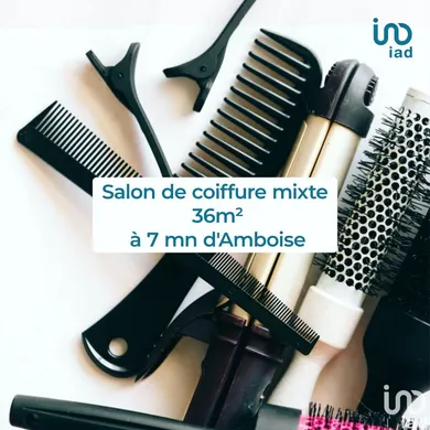 Boutique/Local commercial à POCÉ-SUR-CISSE (37530)