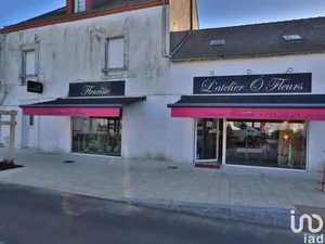 Droit au bail à MONTOIR-DE-BRETAGNE (44550)