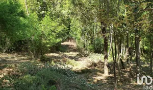 Terrain à SISCO (20233)