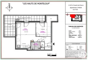 Appartement à LA CHAPELLE-SAINT-MESMIN (45380)