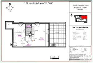 Appartement à LA CHAPELLE-SAINT-MESMIN (45380)