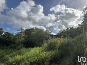 House in LE MOULE (97160)