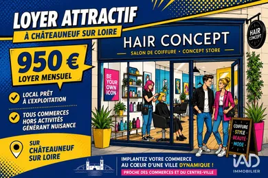Boutique/Local commercial à CHÂTEAUNEUF-SUR-LOIRE (45110)