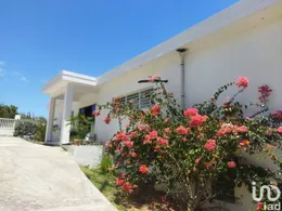 House in SAINT-MARTIN (97150)