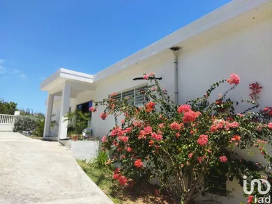 Maison à SAINT-MARTIN (97150)