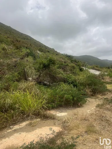 Terrain à SAINT-MARTIN (97150)