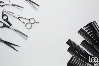 Business asset at LORIENT (56100)