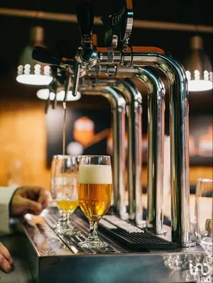 Bar à ROUEN (76000)