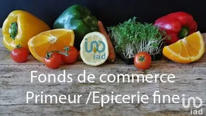 Commercial in TOULOUSE (31400)