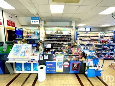 Civette à FROISSY (60480)