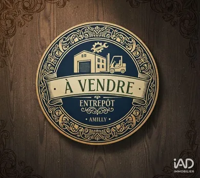 Commercial walls at AMILLY (45200)