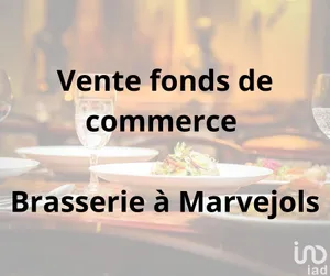 Brasserie à MARVEJOLS (48100)