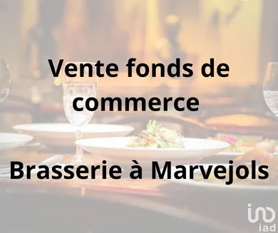 Brasserie à MARVEJOLS (48100)