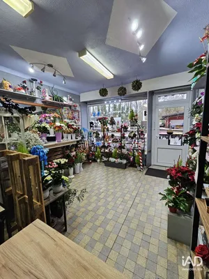 Murs commerciaux à RÉHON (54430)