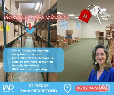 Business asset in SAINT-PIERRE (97410)