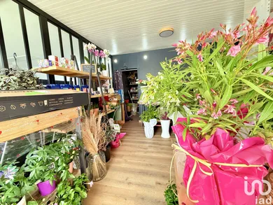 Commercial in RÉDENÉ (29300)
