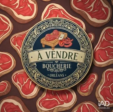 Business asset at ORLÉANS (45000)