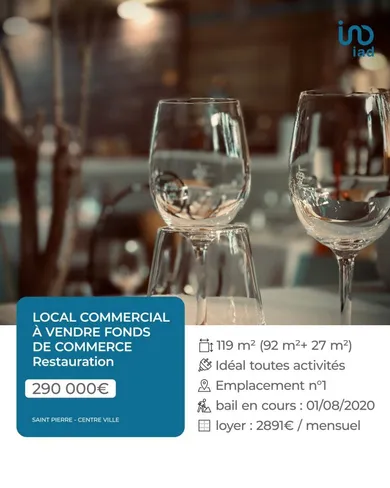 Business asset at SAINT-PIERRE (97410)