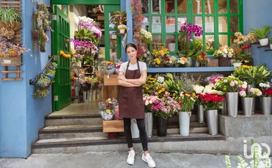 Commercial walls at BELZ (56550)