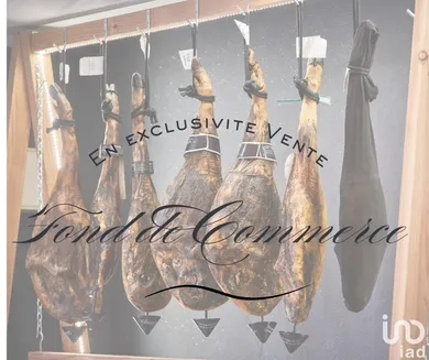 Commercial at CASTRIES (34160)