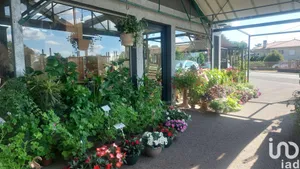 Boutique/Local commercial à SAINT-MAGNE-DE-CASTILLON (33350)