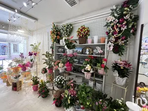 Boutique/Local commercial à TARASCON-SUR-ARIÈGE (09400)