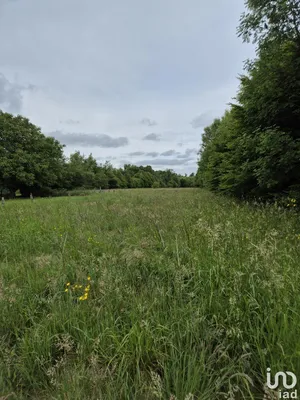 Land in ROCROI (08230)