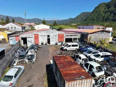 Business asset in LA PLAINE-DES-PALMISTES (97431)