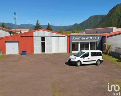 Business asset in LA PLAINE-DES-PALMISTES (97431)