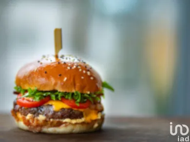 Fast food in LYON (69002)