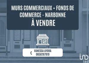 Commercial walls at NARBONNE (11100)