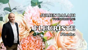 Commercial at PLOUHA (22580)