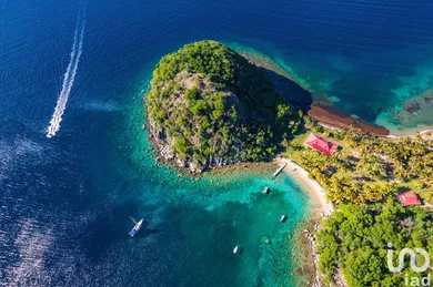 Bar-brasserie at TERRE-DE-HAUT (97137)