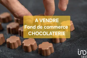 Commercial at SAINT-RAPHAËL (83700)