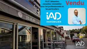 Bar-brasserie in SAINT-PALAIS (64120)