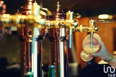 Restaurant à BLAGNAC (31700)