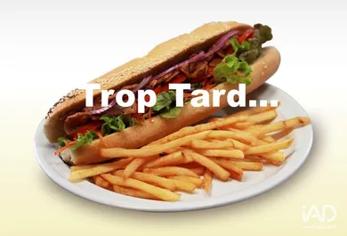 Fast food in LESQUIN (59810)