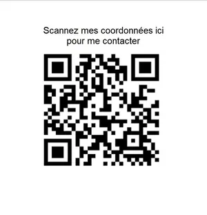 Fast food in LESQUIN (59810)