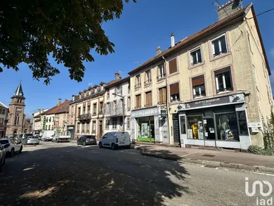 Commercial at SAINT-DIÉ-DES-VOSGES (88100)