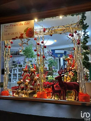 Boutique/Local commercial à PUTTELANGE-AUX-LACS (57510)