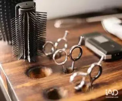 Murs commerciaux  à LA ROCHE-SUR-FORON (74800)