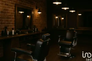 Business asset at PLESCOP (56890)