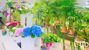 Boutique/Local commercial à PARIS (75019)